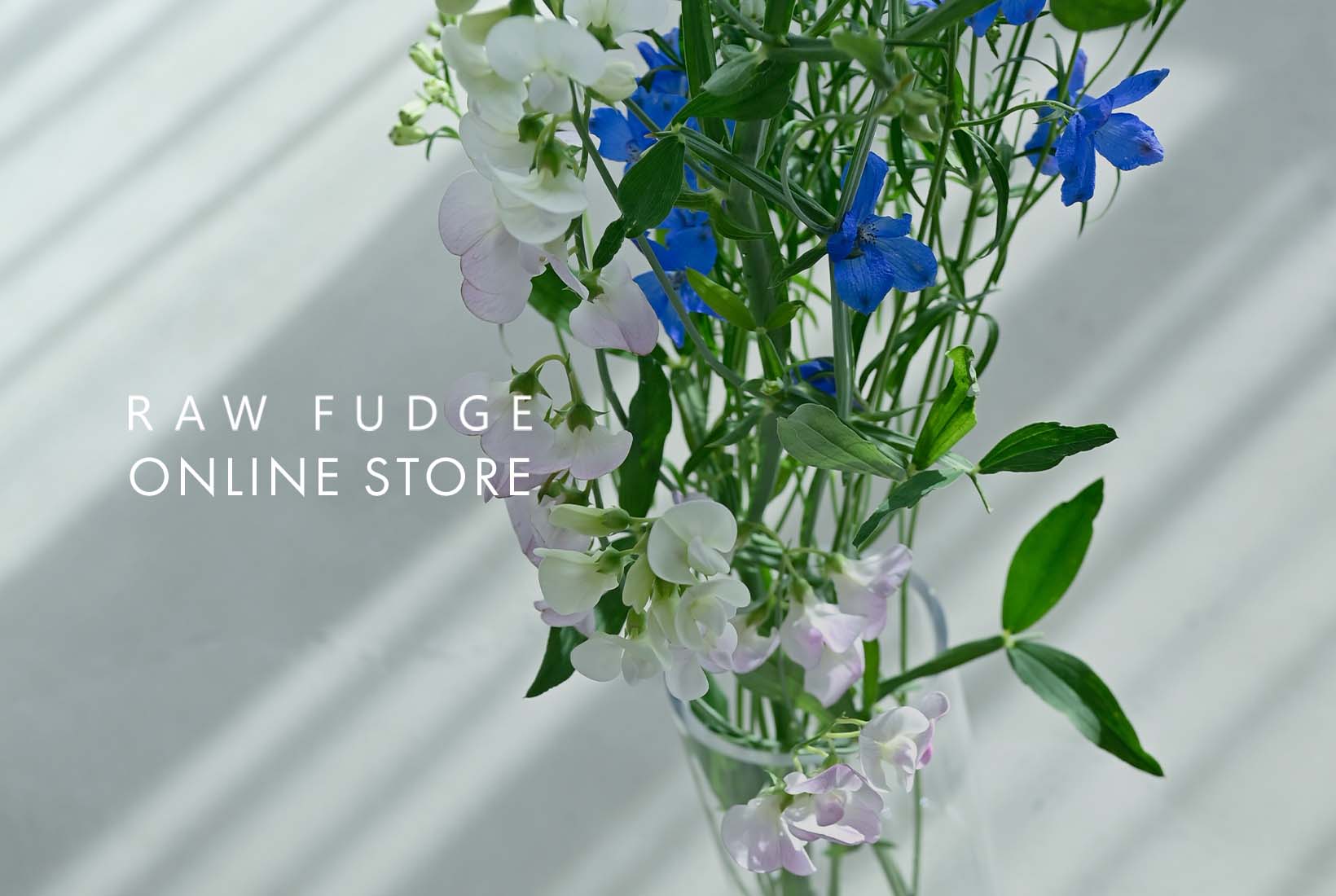 アパレルブランド RAWFUDGE「ローファッジ」