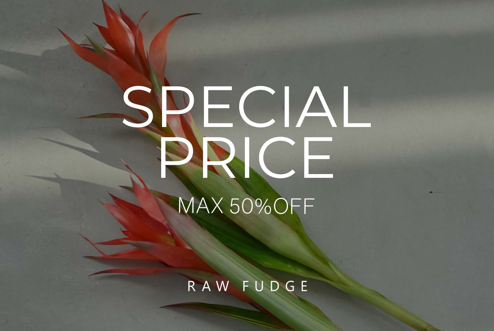 SALE MAX50%OFF