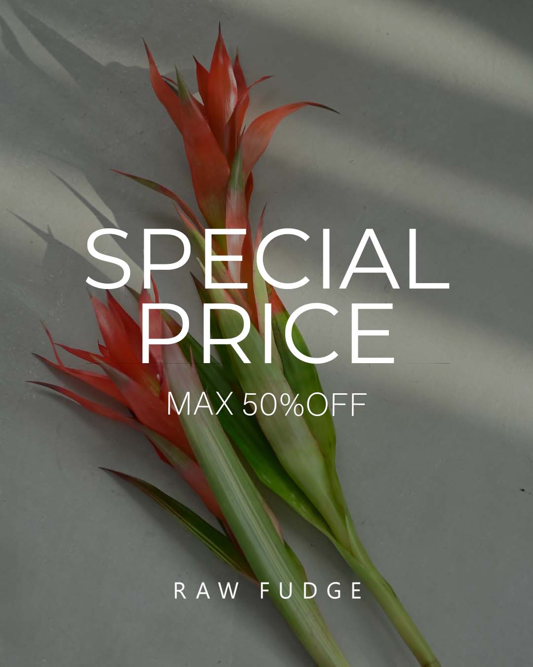 SALE RAW FUDGE