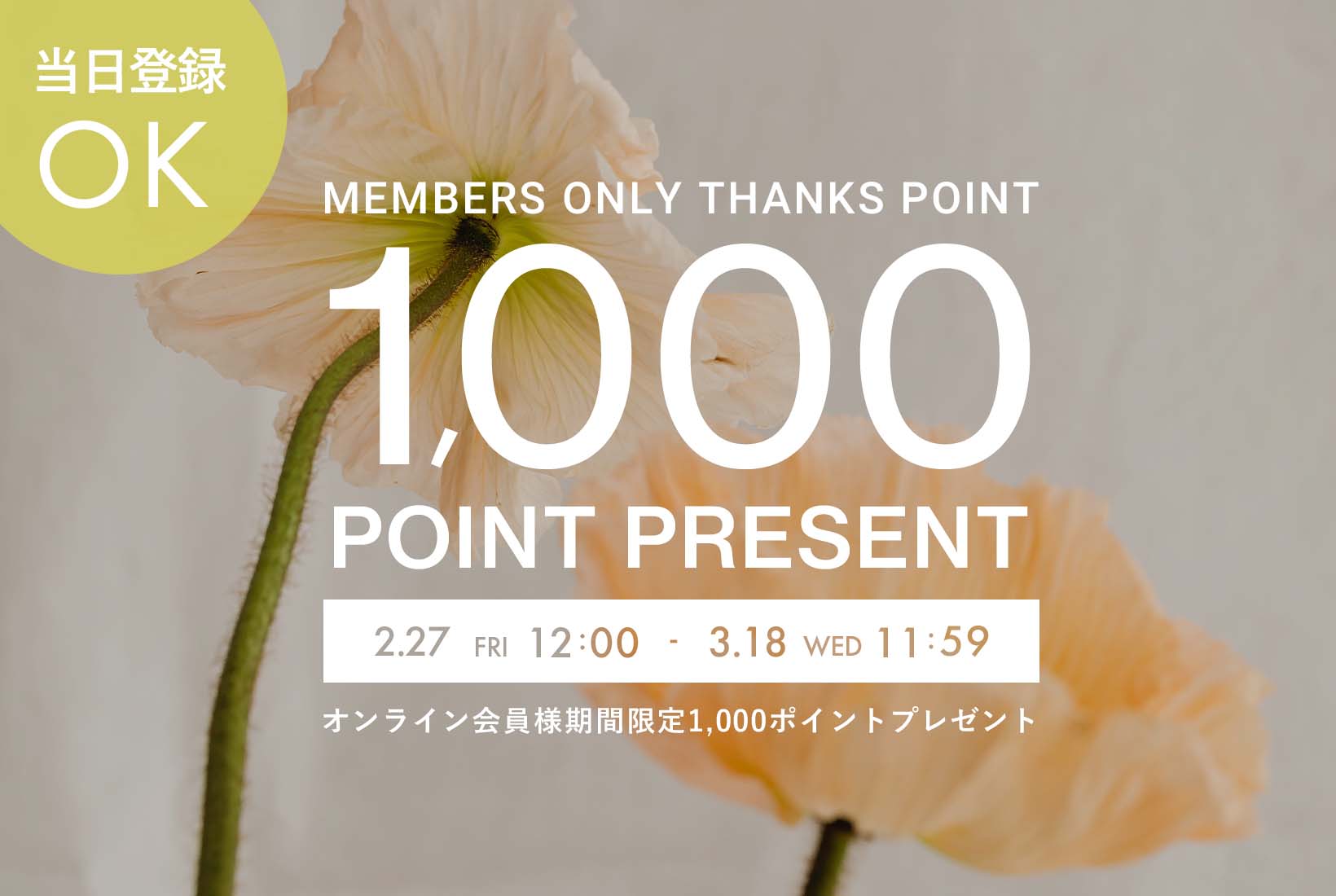 ONLINE STORE – RAW FUDGE（ローファッジ）公式サイト