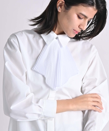 �v���[�c�t�����t�o�b�N�^�b�N�u���E�X