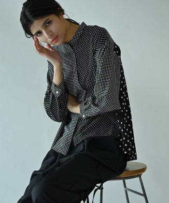 �h�b�g���~�b�N�X�ؑփu���E�X